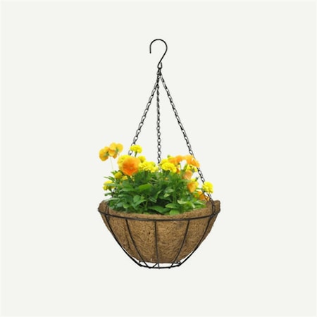 Cobraco 12 in. Growers Style Hanging Basket - Black HGB12-B